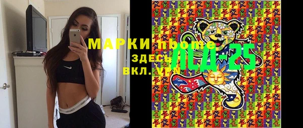 винт Аркадак