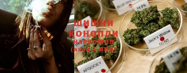 прущий лед Арсеньев